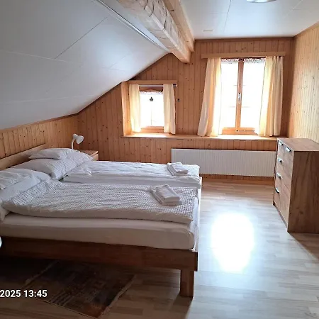 Big 3-bedroom Flat With New Kitchen * Brienz (Bern)
